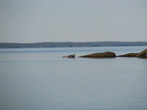 IMG 0428