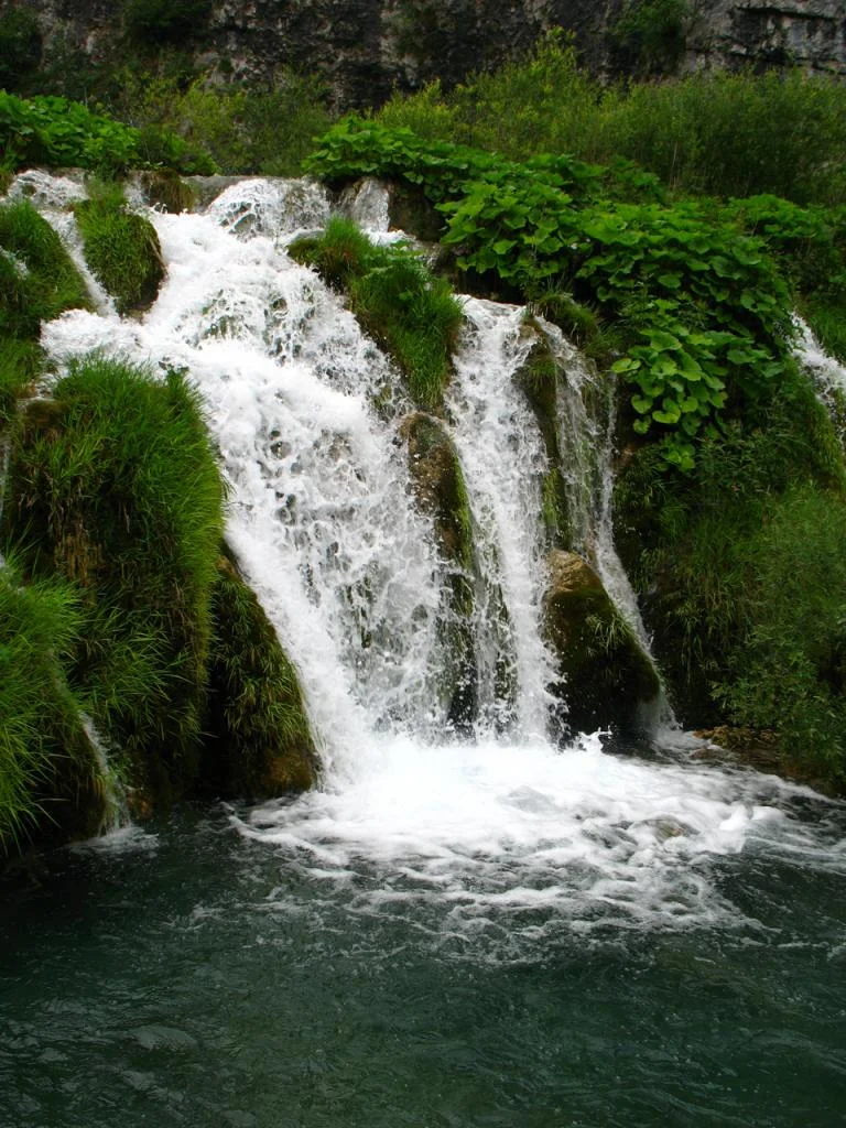 IMG 0540