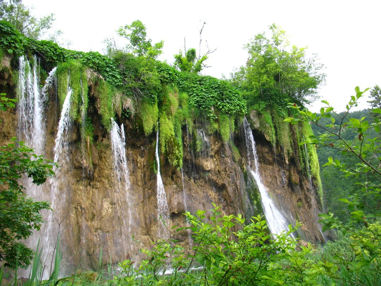 IMG 0611