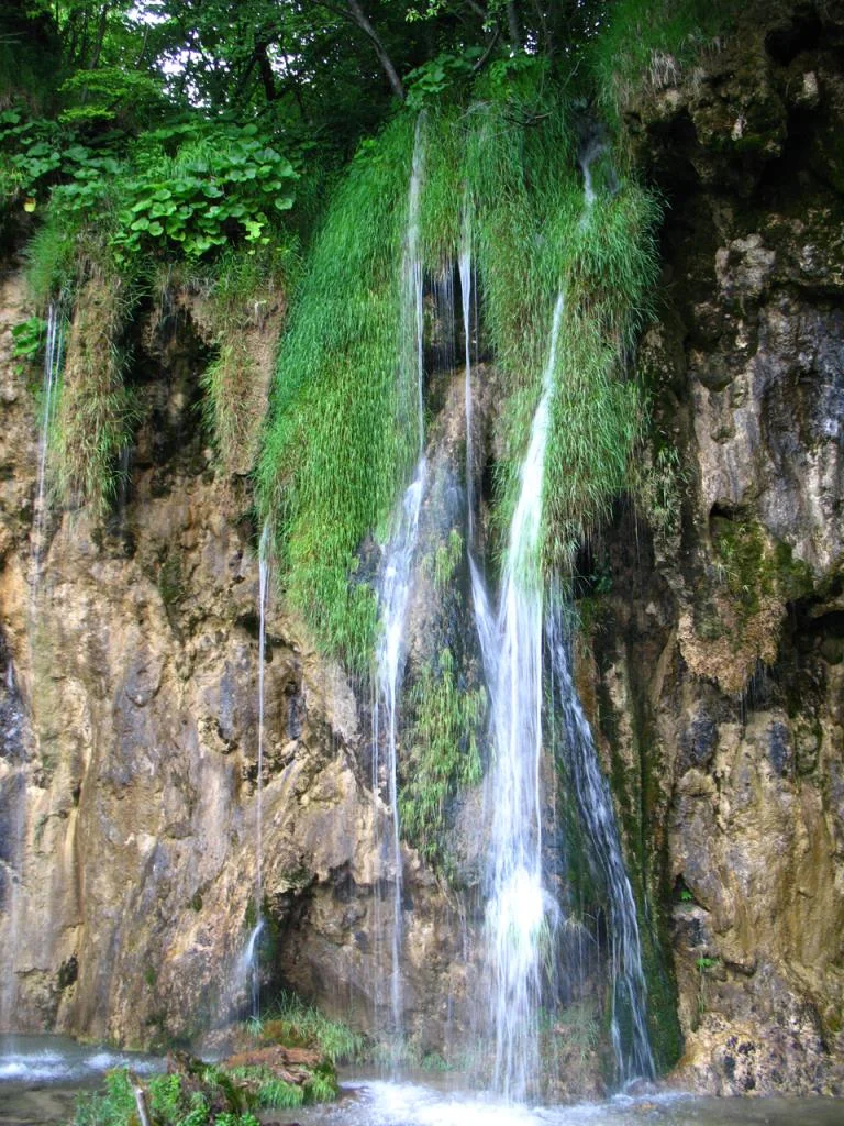 IMG 0613