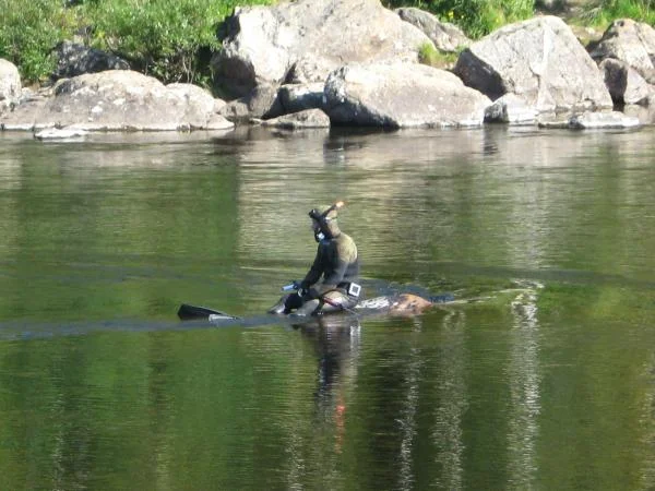 IMG 0651