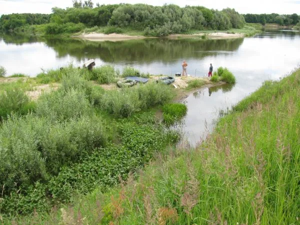 IMG 0850