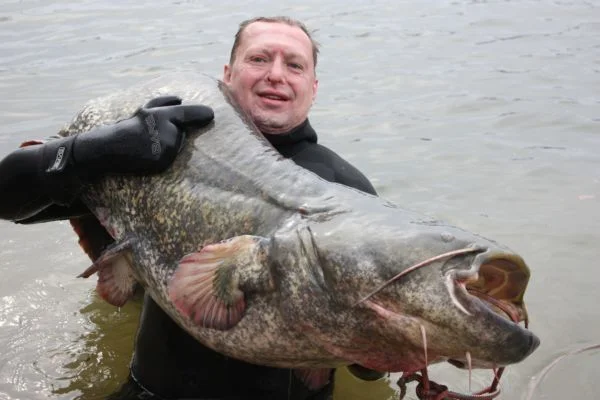IMG 0968