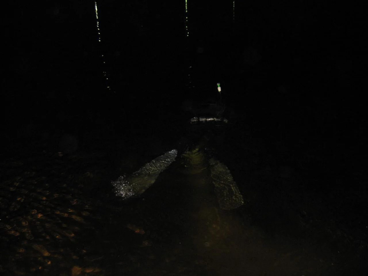 IMG 1198