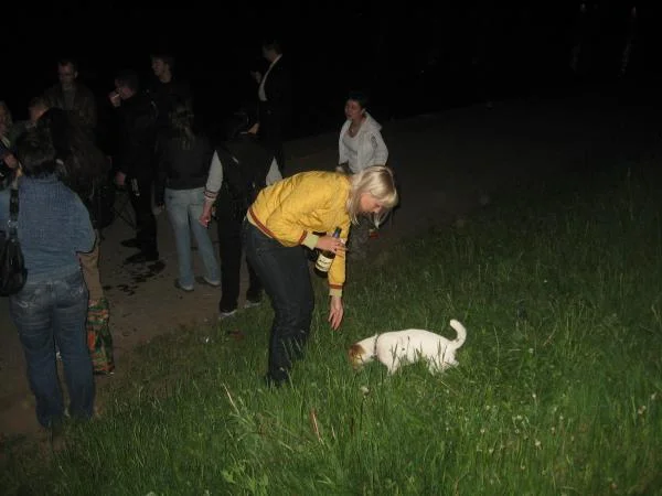 IMG 1874