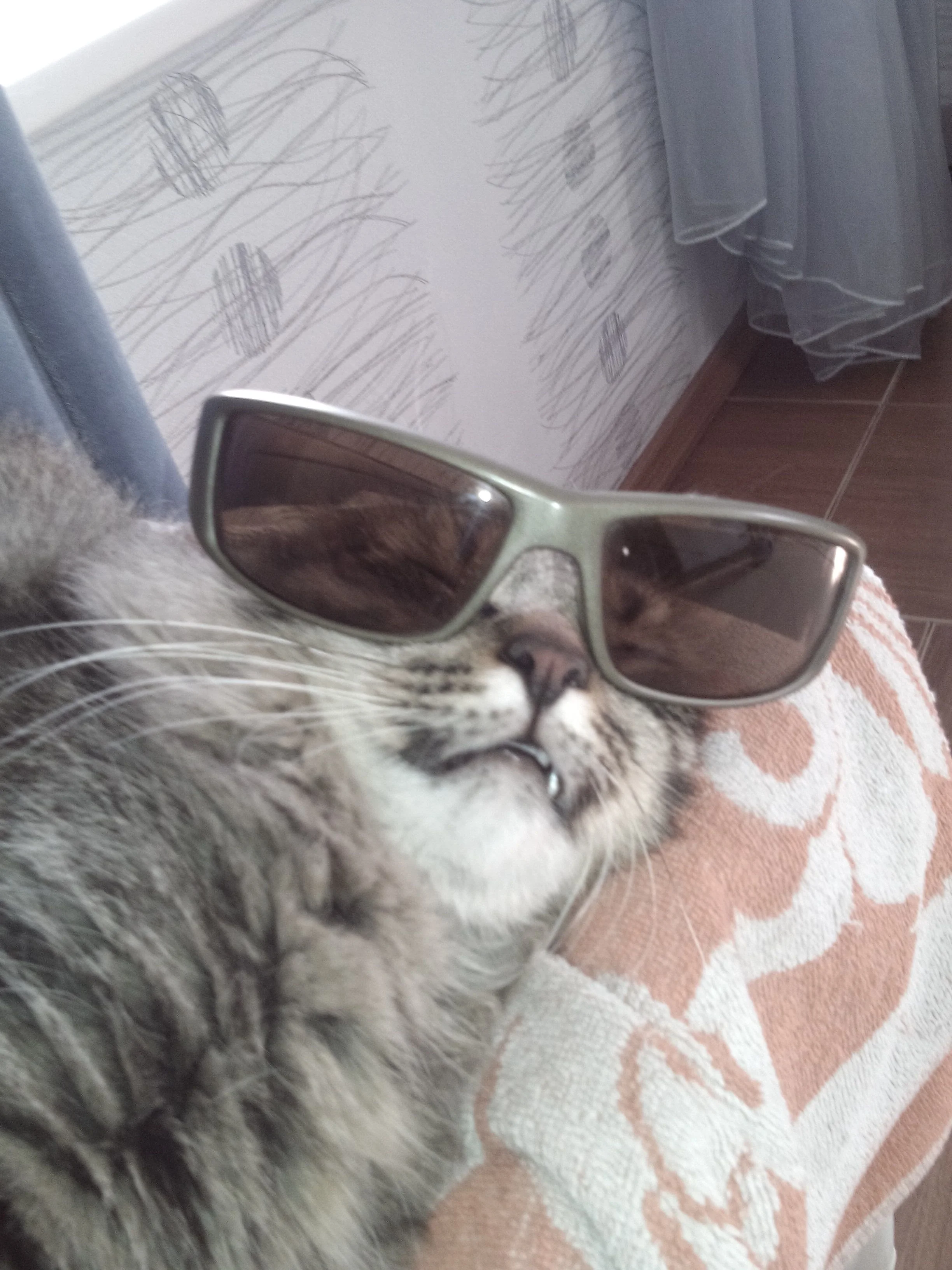 IMG 20150429 095543