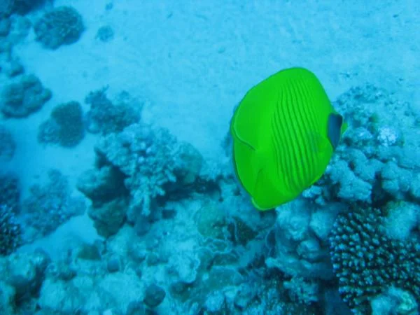 IMG 2866