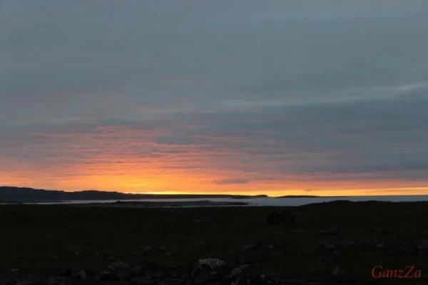 IMG 3149 700x467