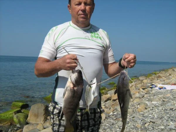 IMG 3205
август 2013