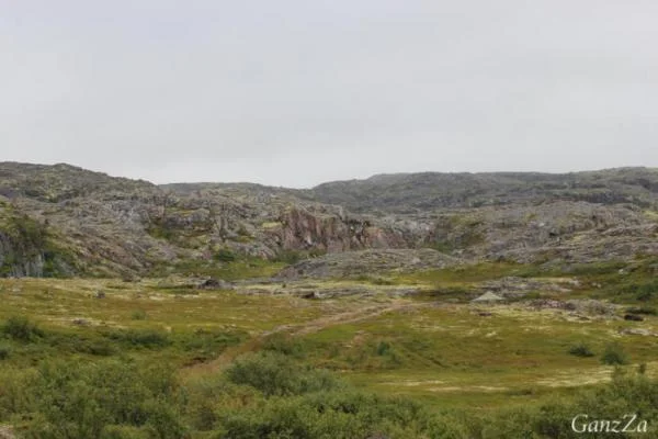 IMG 4019 700x467