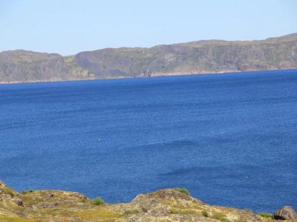 IMG 4078