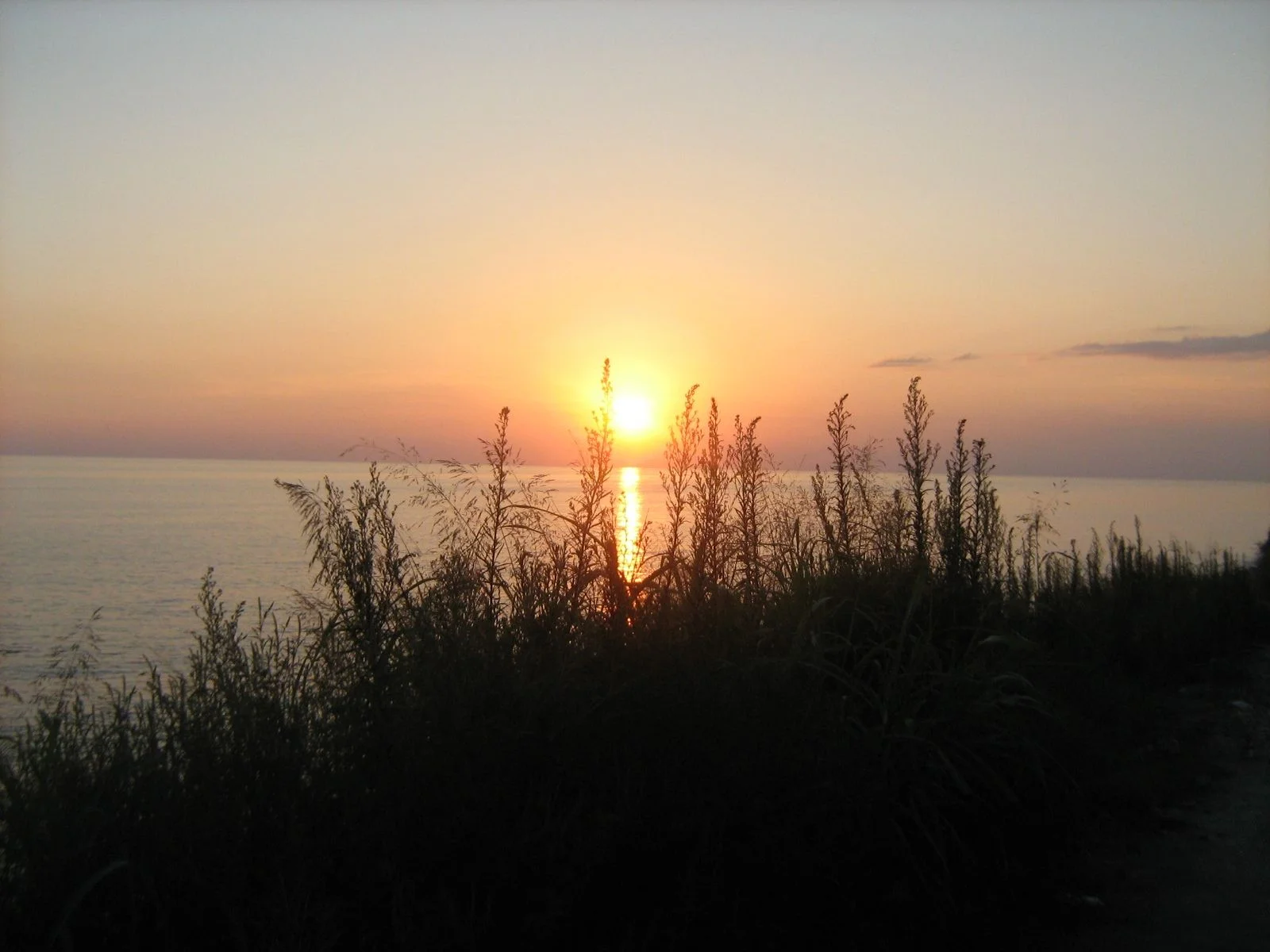 IMG 4354