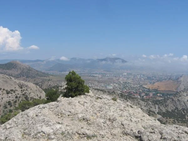 IMG 4484