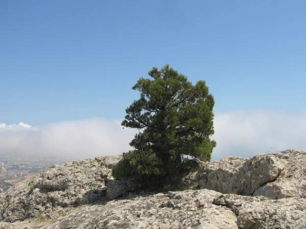 IMG 4492