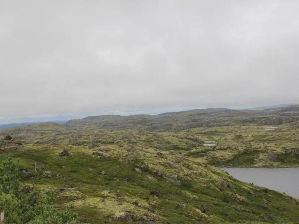 IMG 4530