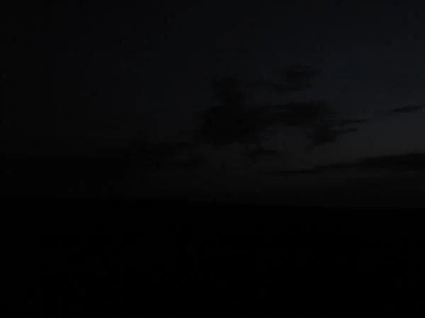 IMG 6591