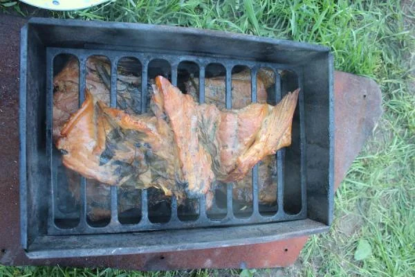IMG 8216