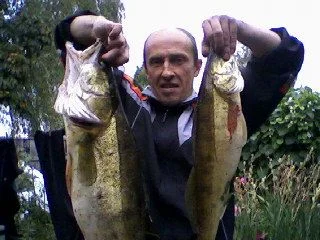Img0E71