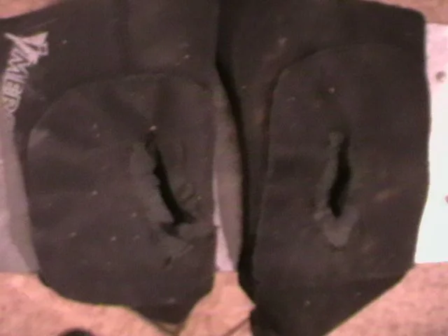 IMGA0515