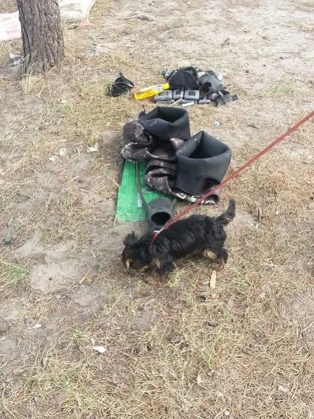Изображение 135911