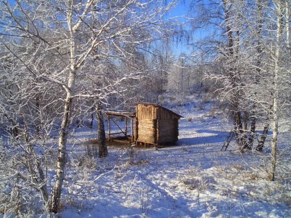 кабаний общепит