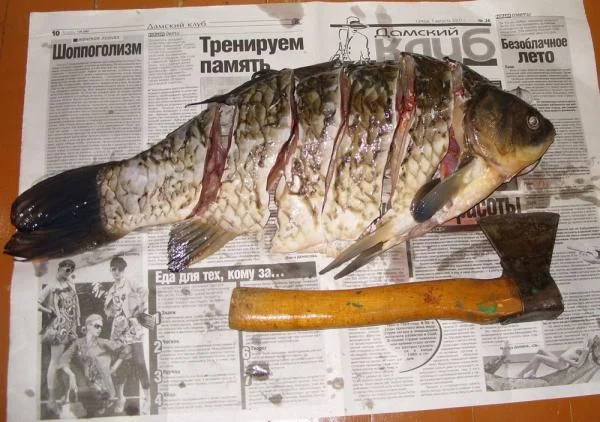 карась рубленый