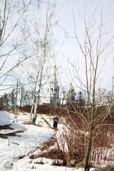 картина1