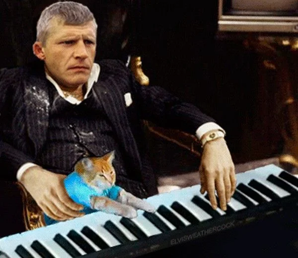 keyboardcatB3TA (14)