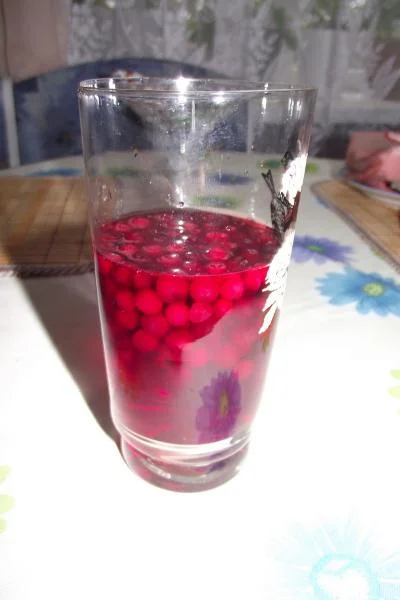 Клюквеный морс