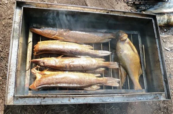 копчушка