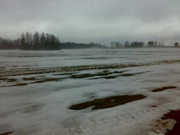 Копия (2) 08042011318