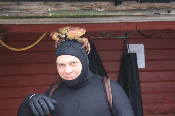 Крабик