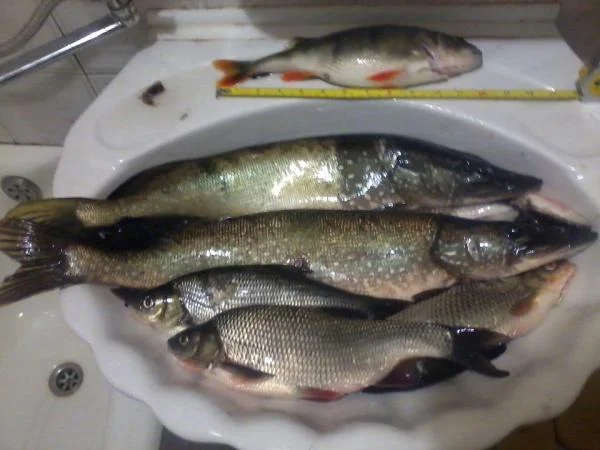 Крайняя