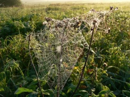 красиво