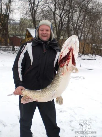 крокодайл Московский )))