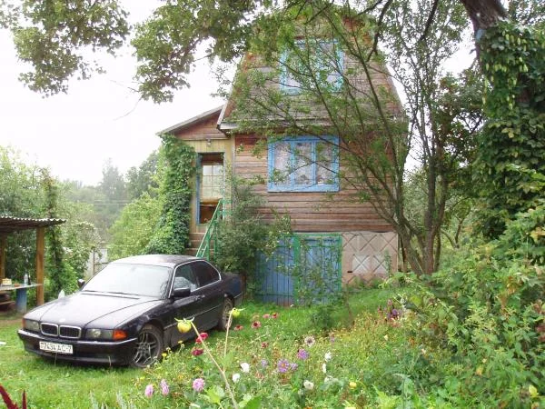 курятник