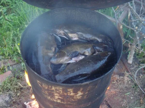 ЛИНКИ