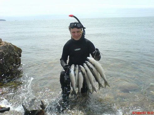 Лобаны. Владивосток, лето 2007.