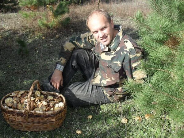 маслята