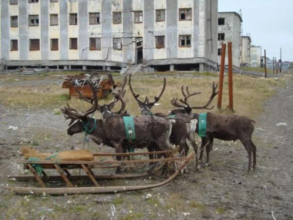 местная тройка