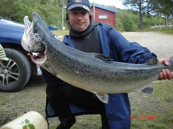 Морская семга