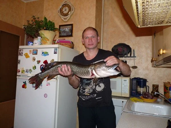 Москва река,на 5 кил