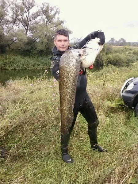 на реке Ворона