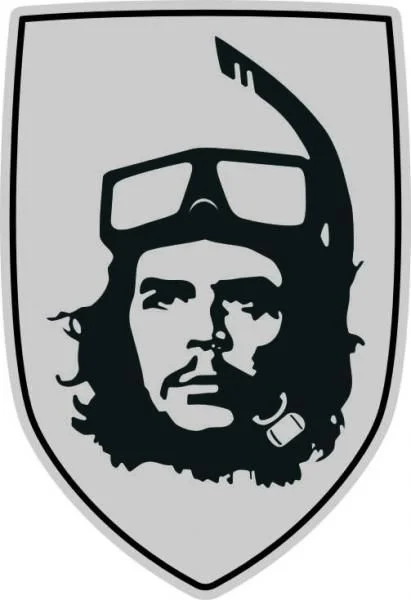 на рено, гравировка лазером на серебристом пластике