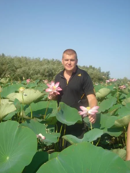 Наримановский Лотос