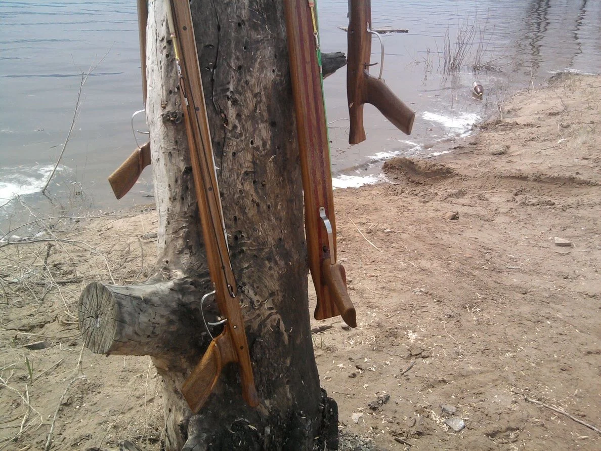 Натюрморт. Дерево на дереве