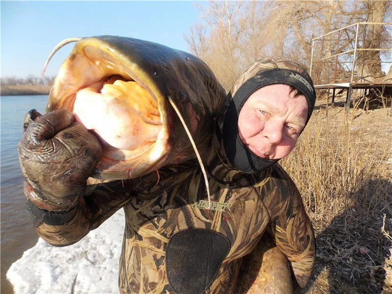 Нижняя Волга