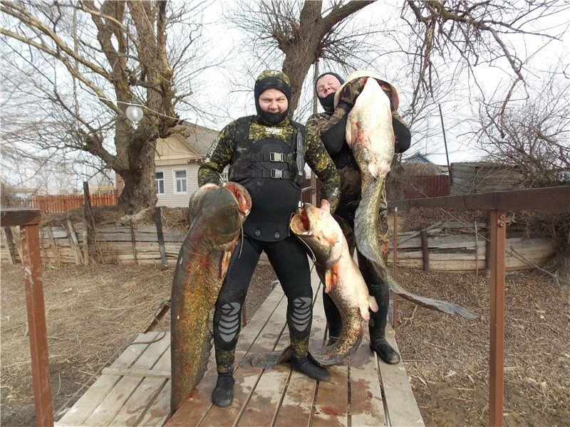 Нижняя Волга