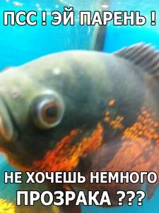 [No title]