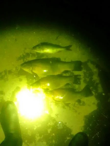 [No title]